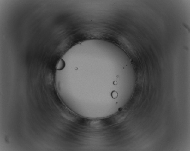 X0000096660173200802051004