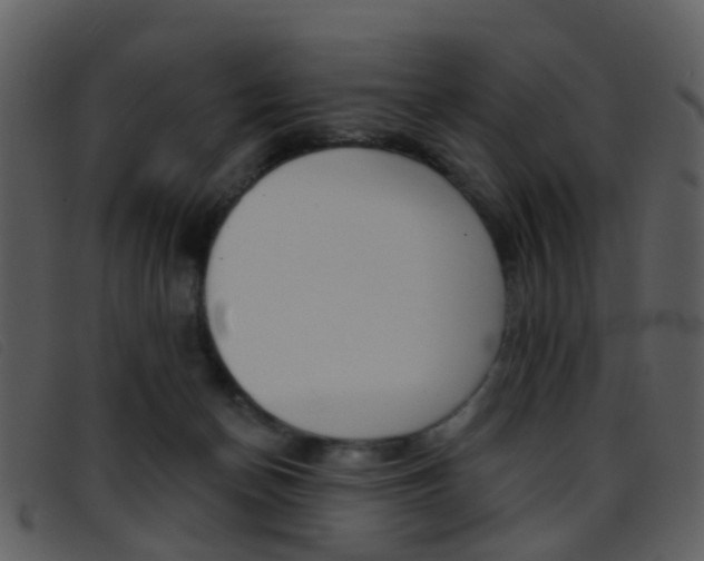 X0000096660174200802051005