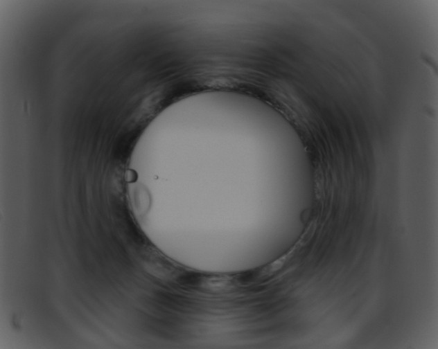 X0000096660175200802051005