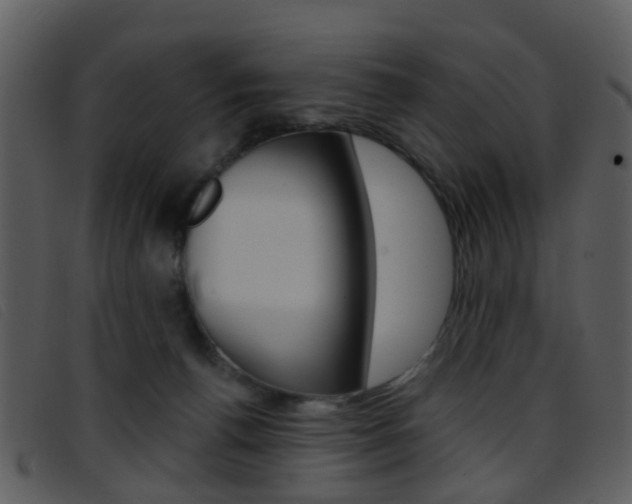 X0000096660176200802051005