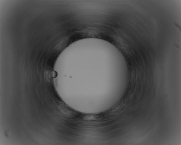 X0000096660177200802051005