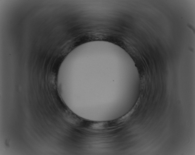 X0000096660178200802051005