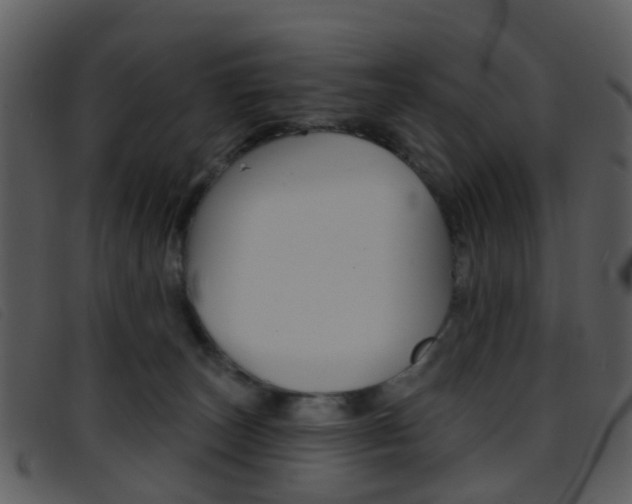 X0000096660179200802051005