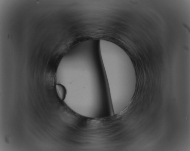 X0000096660180200802051005