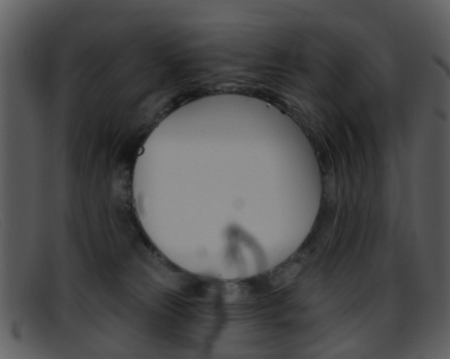 X0000096660181200802051005