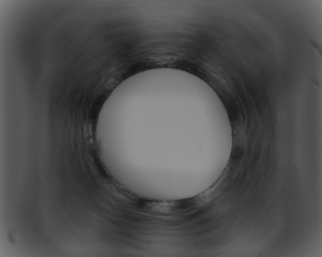 X0000096660182200802051005