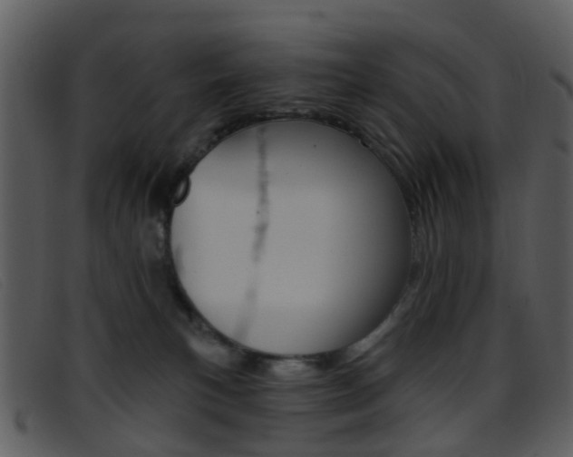 X0000096660183200802051005