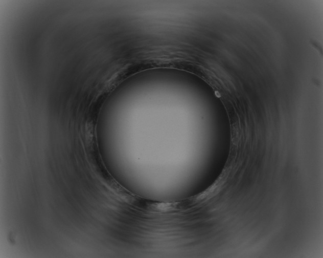 X0000096660184200802051005