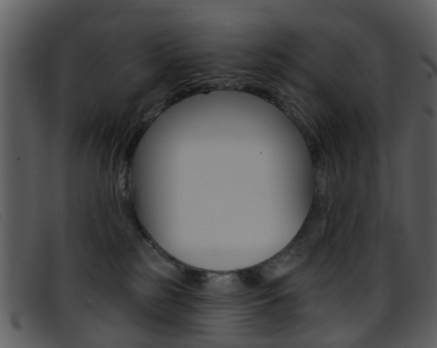 X0000096660185200802051005