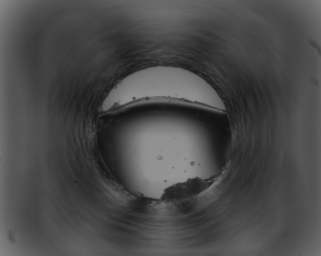 X0000096660186200802051005