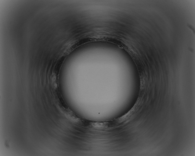 X0000096660187200802051005