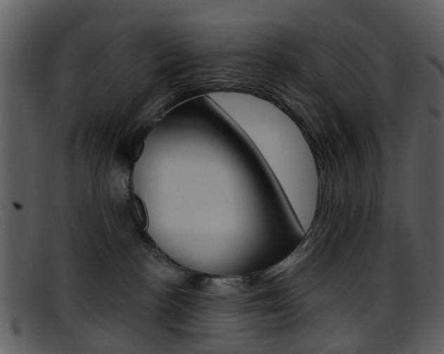 X0000096660188200802051005