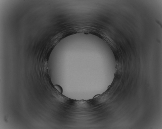 X0000096660189200802051005