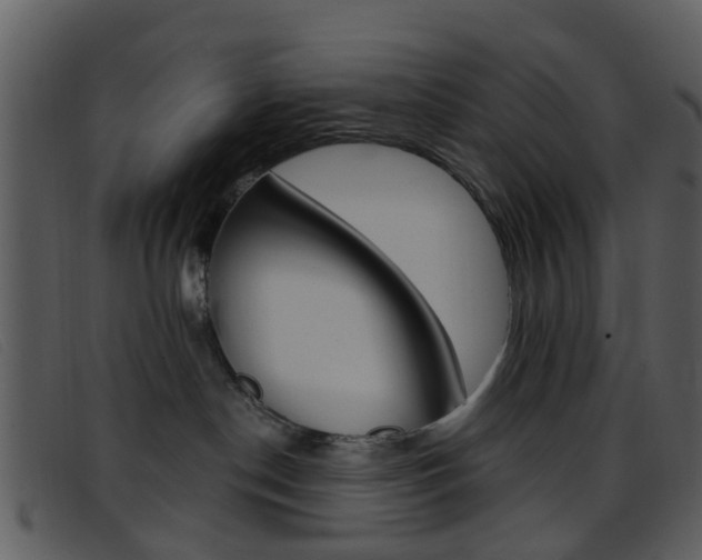 X0000096660190200802051005