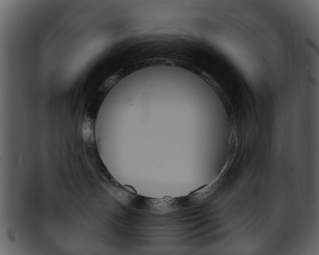 X0000096660191200802051005