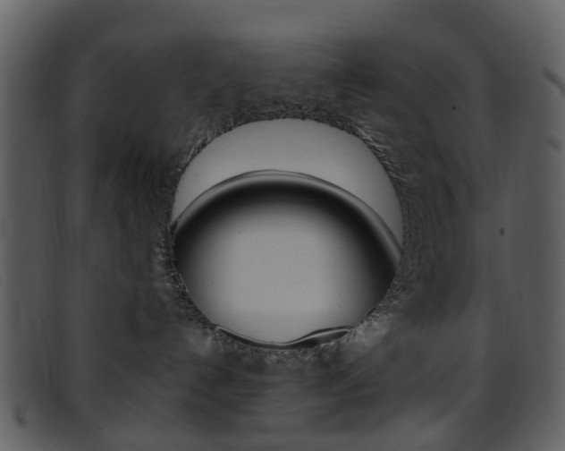 X0000096660192200802051005