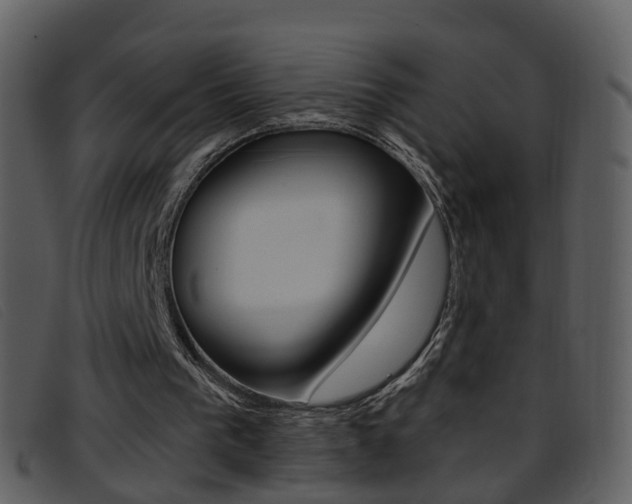 X0000096660193200802051004