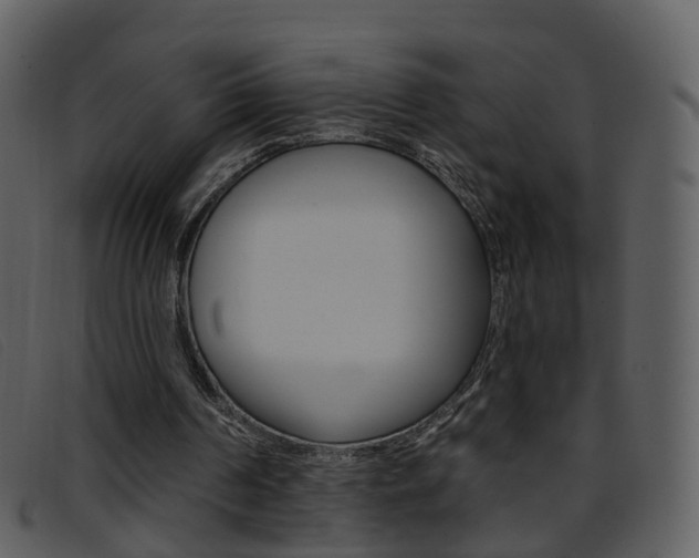 X0000096660194200802051004