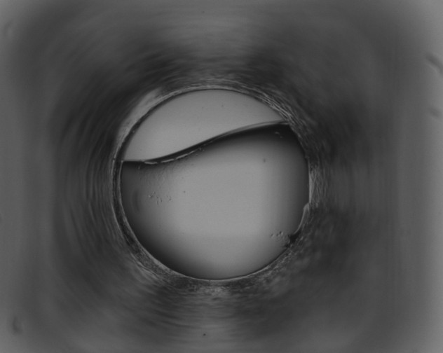 X0000096660195200802051004