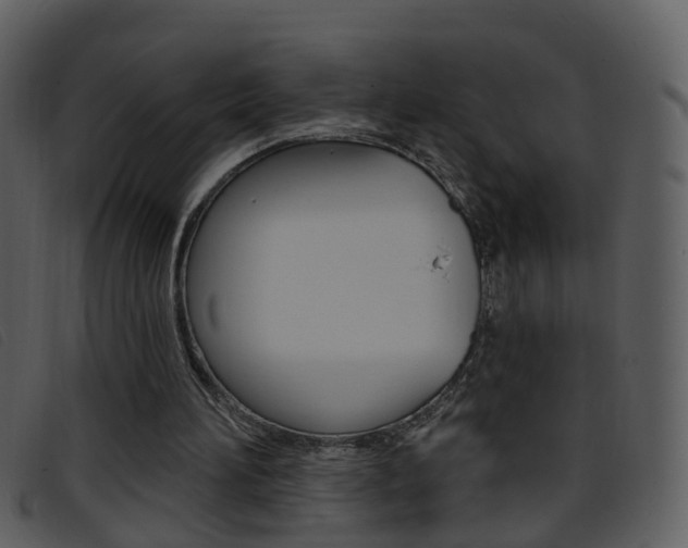 X0000096660196200802051004
