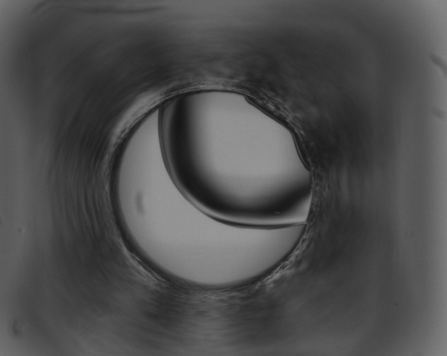 X0000096660197200802051004