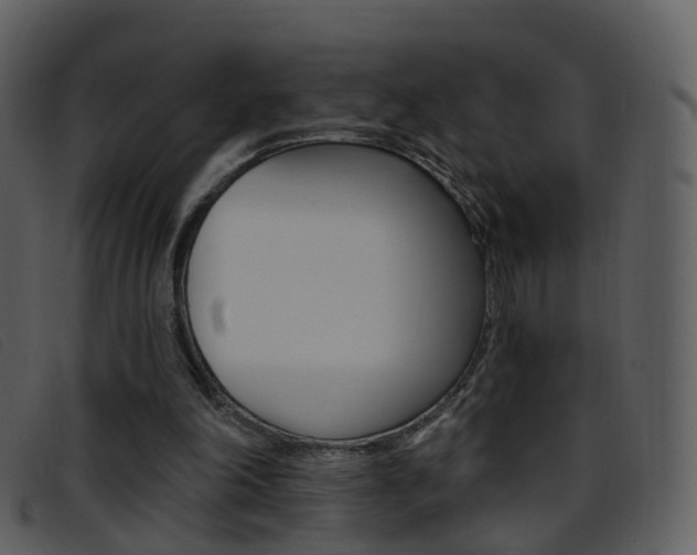 X0000096660198200802051004