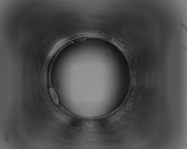 X0000096660199200802051004