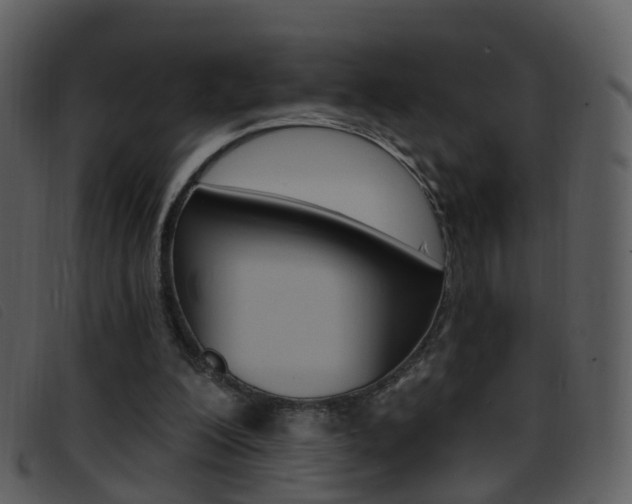 X0000096660200200802051004