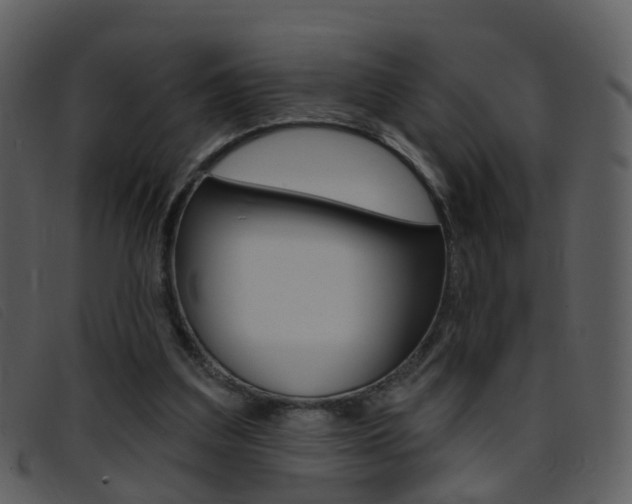 X0000096660203200802051004