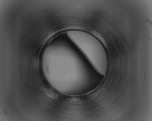 X0000096660204200802051004