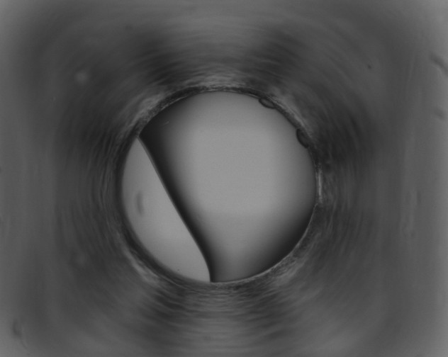 X0000096660205200802051004