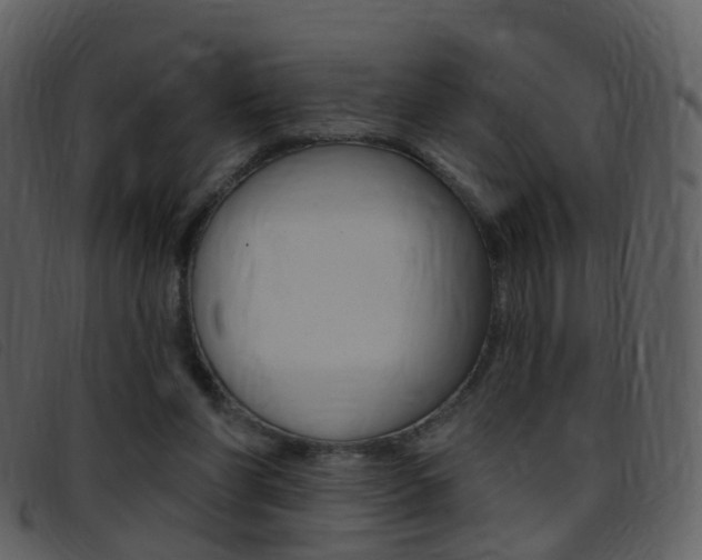 X0000096660206200802051004