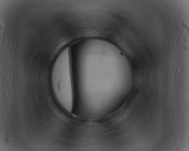 X0000096660207200802051004