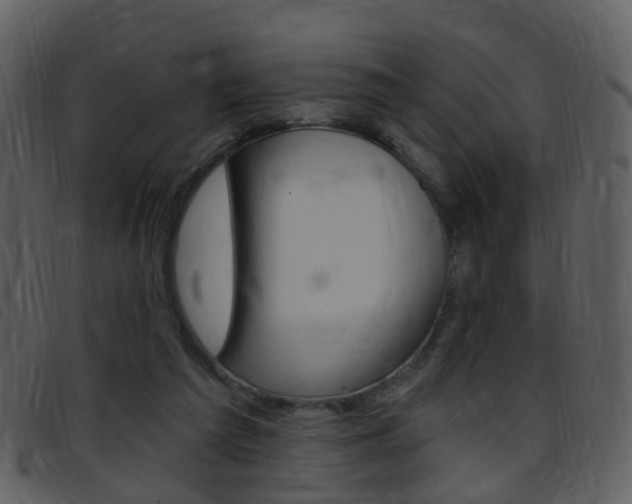 X0000096660209200802051004