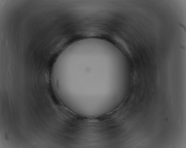 X0000096660210200802051004
