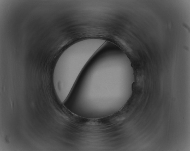 X0000096660211200802051004