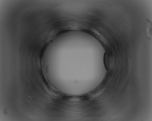 X0000096660213200802051004
