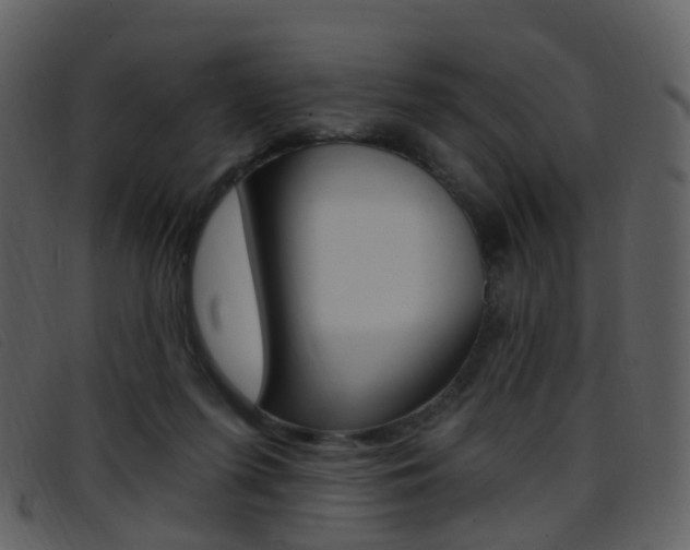 X0000096660215200802051004