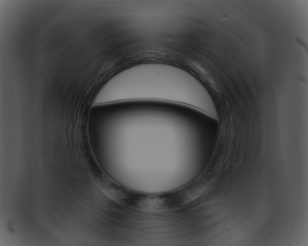 X0000096660217200802051004