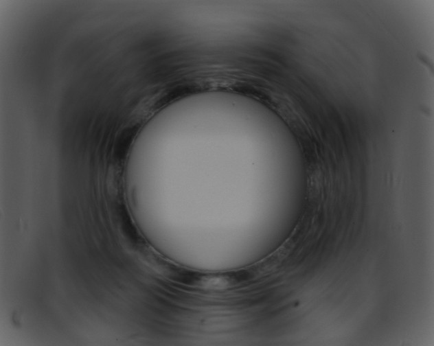 X0000096660218200802051004