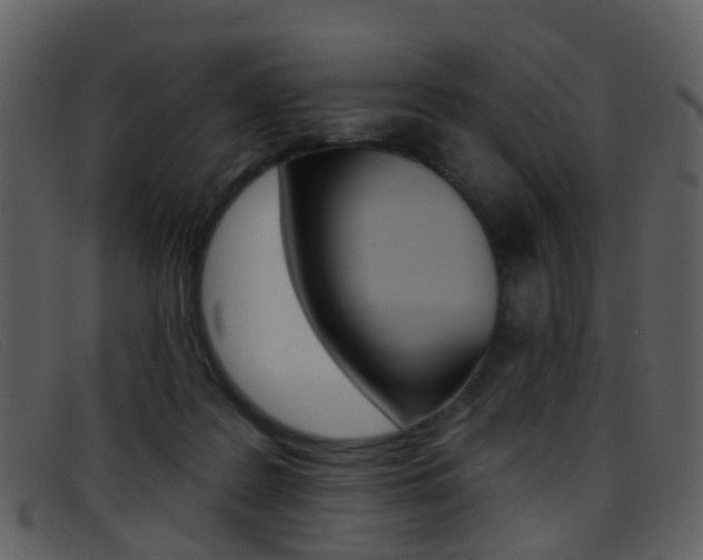 X0000096660219200802051004