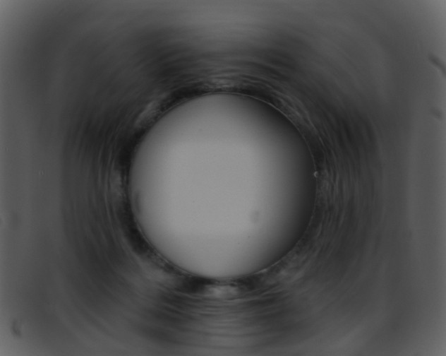 X0000096660220200802051004