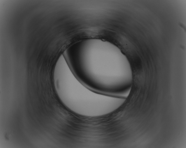 X0000096660221200802051004
