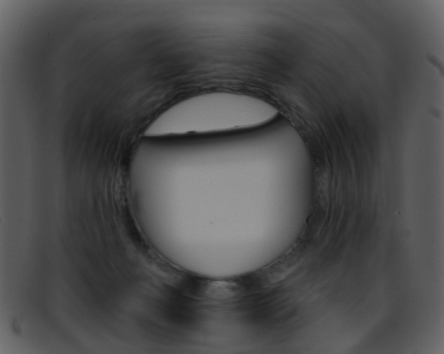 X0000096660222200802051004