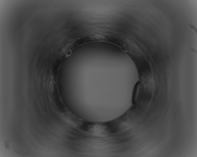 X0000096660223200802051004