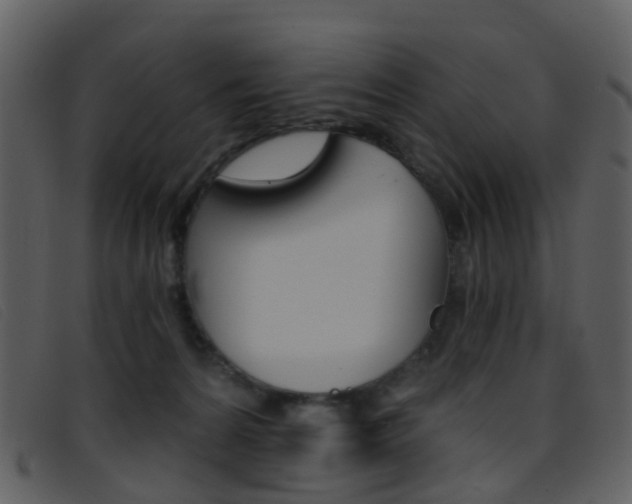 X0000096660224200802051004