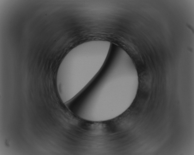 X0000096660225200802051003
