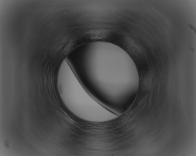 X0000096660227200802051003