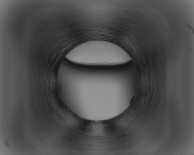 X0000096660228200802051003