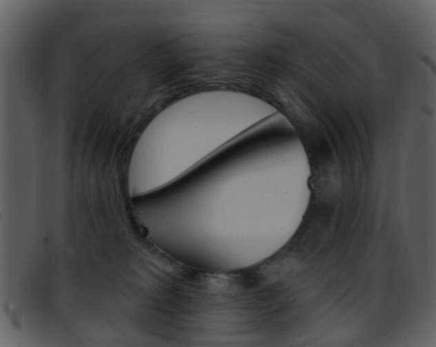 X0000096660229200802051003